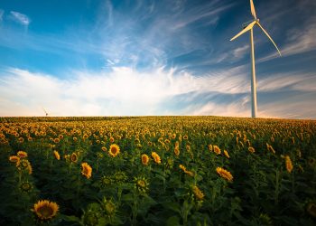 Erst nach Schwarz-Blau möglich: Ökostrom-Novelle und mehr Geld für Klimaschutz