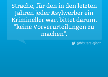 Strache Vorverurteilungen