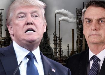 Mehr Geld, bessere Überwachung und internationale Zusammenarbeit: So rettet Brasilien den Regenwald