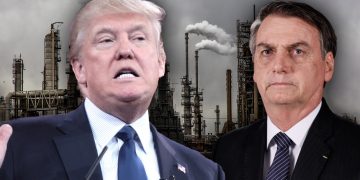 Mehr Geld, bessere Überwachung und internationale Zusammenarbeit: So rettet Brasilien den Regenwald