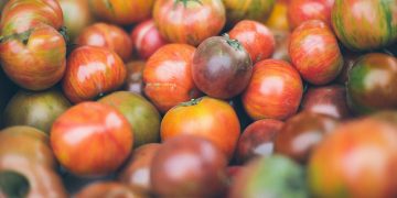 Auch verformtes Gemüse im Supermarkt: Dänemark rettet 370 Tonnen Obst und Gemüse vor dem Müll