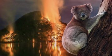 Australien brennt – doch der konservative Premier tut weiter nichts für den Klimaschutz