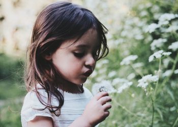 Schwarz-Grüner Familienbonus: 166.000 Kinder bekommen nichts