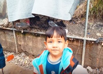 Humanitäre Katastrophe in Syrien: Kaum Hilfe vor Ort aus Österreich