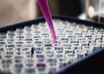 „Testen, testen, testen“