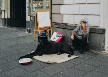 Corona-Krise: London und Düsseldorf öffnen Hotels für Obdachlose