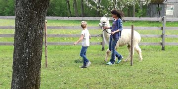 Offener Brief an Sebastian Kurz: Gemeinnützige Vereine stehen vor dem Aus!