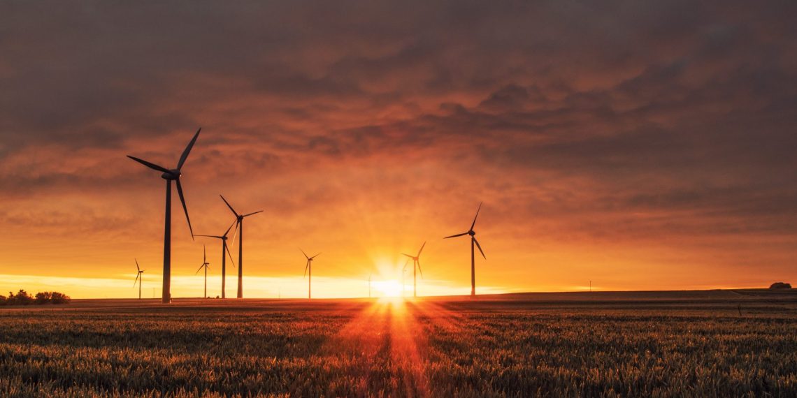 „Wir jubeln über eine Klimaschutzmilliarde, stecken aber 4,7 Mrd. in klimaschädliche Subventionen“ – Klimaaktivistin Katharina Rogenhofer im Gespräch