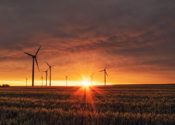 „Wir jubeln über eine Klimaschutzmilliarde, stecken aber 4,7 Mrd. in klimaschädliche Subventionen“ – Klimaaktivistin Katharina Rogenhofer im Gespräch