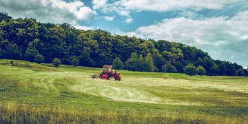 „Todesstrafe für Klima und Bauern“: EU will 300 Mrd. für Agrarindustrie ohne Öko-Auflagen vergeben