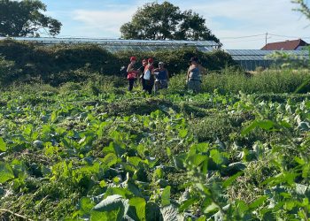 Schwarzarbeit und Hungerlöhne: Wie Aktivistinnen die Erntearbeiter organisieren