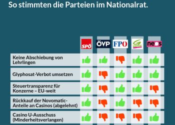 Abstimmungsverhalten im Nationalrat, 11. Dezember 2019