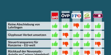 Abstimmungsverhalten im Nationalrat, 11. Dezember 2019