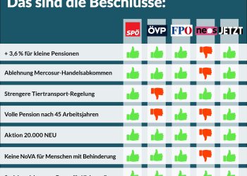 Abstimmungsverhalten im Nationalrat, 19. September 2019