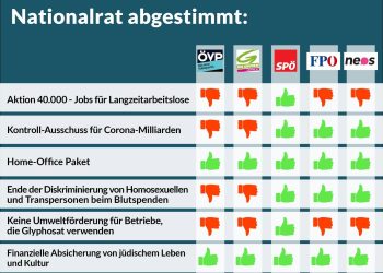 Abstimmungsverhalten im Nationalrat, 24. Februar 2021
