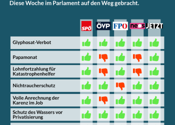 Abstimmungsverhalten im Nationalrat, 12. und 13. Juni 2019