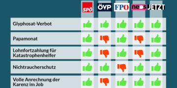 Abstimmungsverhalten im Nationalrat, 12. und 13. Juni 2019