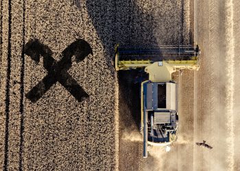 raiffeisen-bauern, Unsplash / Jean Wimmerlin/Eigene Montage