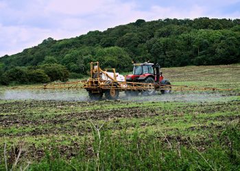 Regierung umgeht Glyphosatverbot: Landwirtschaft darf krebserregendes Pestizid weiter verwenden
