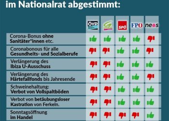 Abstimmungsverhalten Nationalrat 16./17. Juni 2021