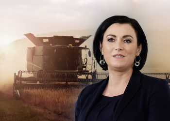 AMA, A1 und Porsche: EU-Agrarförderungen für die Großen, während Kleinbauern aussterben