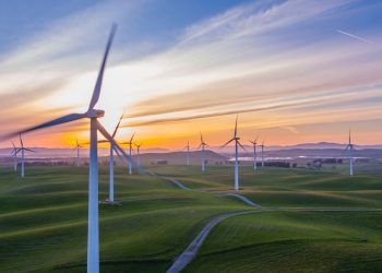 Grüner Strom bis 2030: Bald stammt unser ganzer Strom aus erneuerbarer Energie