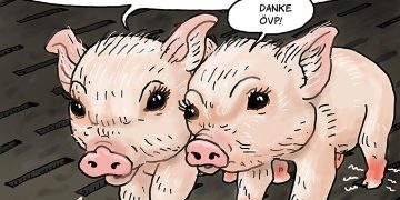 Vollspaltenböden bis 2032?