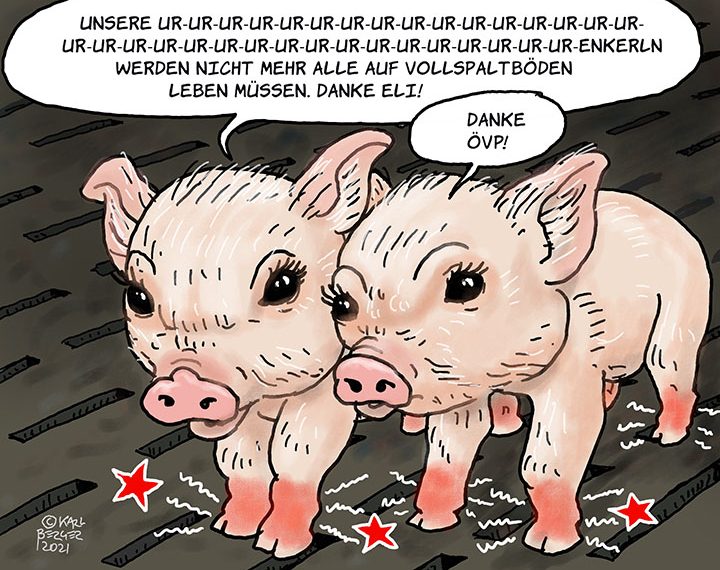 Vollspaltenböden bis 2032?