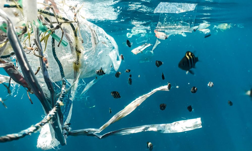 20 Firmen produzieren 55% des gesamten Einweg-Plastikmülls auf unserem Planeten