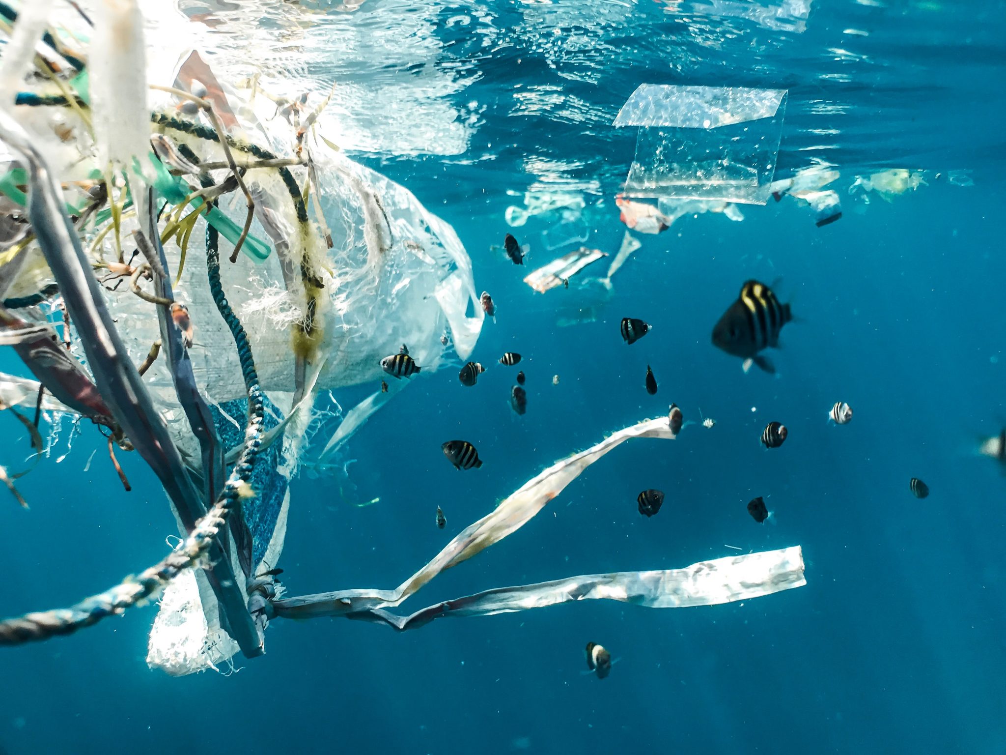 20 Firmen produzieren 55% des gesamten Einweg-Plastikmülls auf unserem Planeten