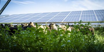 Handle lokal! Was Österreichs Länder und Gemeinden für das Klima machen