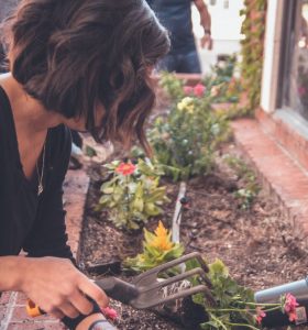 jobprogramm für langzeitarbeitslose steiermark; Frau setzt Blumen in Beet ein