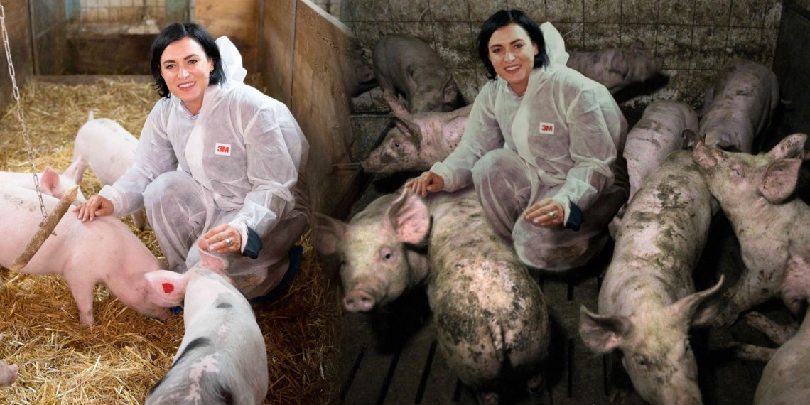 Foto: BMLRT/ Paul Gruber & Montage VGT