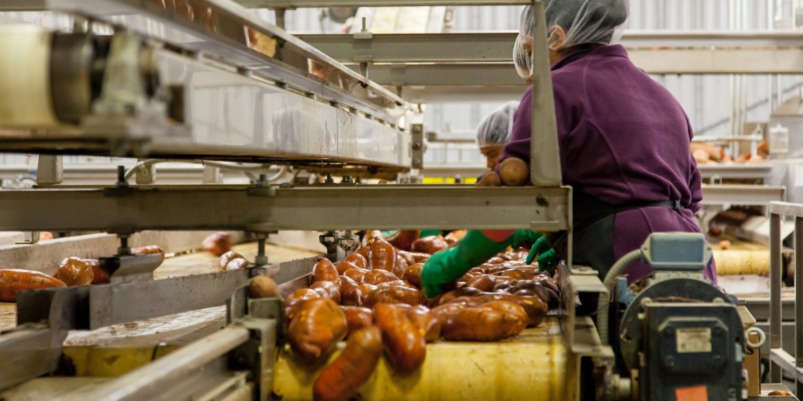 25 Millionen Menschen in der EU können nicht von ihrem Lohn leben: Eine Richtlinie will das ändern