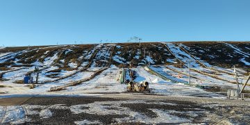 Dürren, Baumwüsten & Hitzetote: So massiv trifft der Klimawandel Österreich