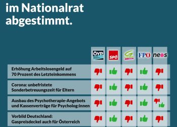 Nationalratssitzung 12. und 13. Oktober: So haben die Parteien gestimmt