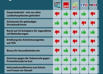 Nationalratssitzung 13. bis 15. Dezember: So haben die Parteien abgestimmt