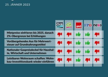Nationalratssitzung am 25. Jänner: So haben die Parteien abgestimmt