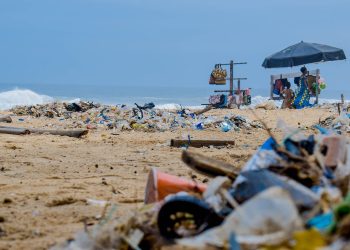 Müllhaufen an der Küste, Müllexport, Foto: Pexels/Lucien Wanda
