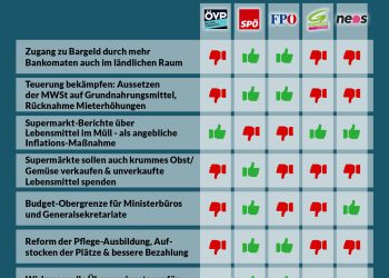 Nationalratssitzung am 24. und 25. Mai 2023: So haben die Parteien abgestimmt