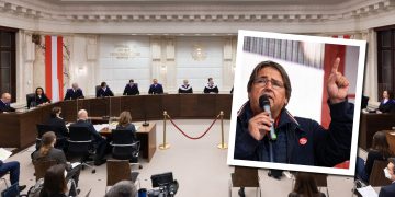 Muchitsch Vfgh ©VfGH/Maximilian Rosenberger