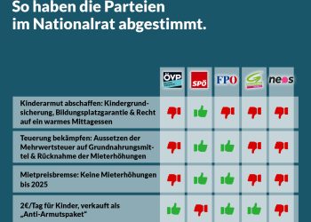 Nationalratssitzung am 1. Juni 2023: So haben die Parteien abgestimmt