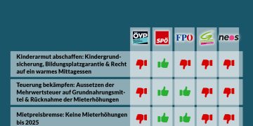 Nationalratssitzung am 1. Juni 2023: So haben die Parteien abgestimmt