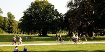 Bauordnung, Grünraum, Entsiegelung, Bäume, Wien, Klimaschutz