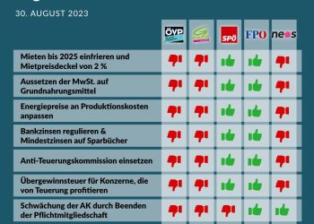 Nationalratssitzung am 30. August 2023: So haben die Parteien abgestimmt