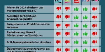Nationalratssitzung am 30. August 2023: So haben die Parteien abgestimmt