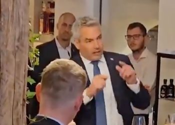 Alles zum Nehammer-Burger-Video: Mehr arbeiten, weniger verdienen und billiger essen!