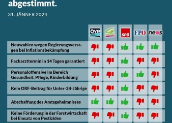 Nationalratssitzung vom 31. Jänner 2024: So haben die Parteien abgestimmt