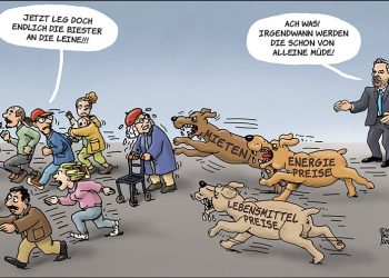 Nehammer macht nichts gegen die hohen Preise!