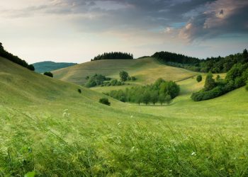 Kontrast-Umfrage zur Klimakrise: Solarenergie und gratis Öffis